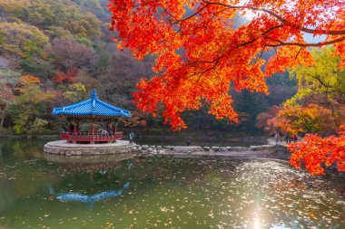 Kore 'de Naejangsan Milli Parkı' nda bulunan mavi pavyon.
