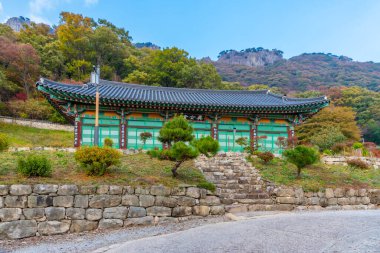 Kore Cumhuriyeti 'ndeki Naejangsan Ulusal Parkı' ndaki Byeongnyeonam Tapınağı.