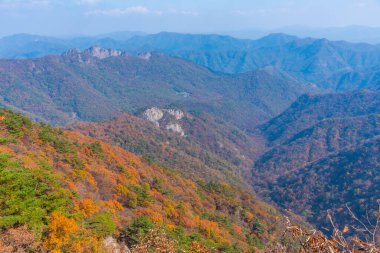 Kore Cumhuriyeti 'ndeki Naejangsan Ulusal Parkı' nın havadan görünüşü