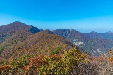 Kore Cumhuriyeti 'ndeki Naejangsan Milli Parkı' nın zirveleri