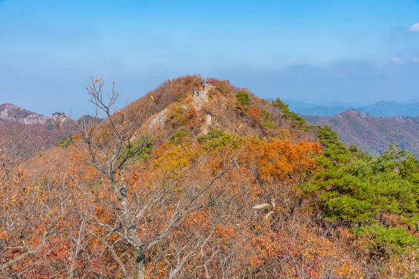 한국에 공원의 꼭대기 — 스톡 사진