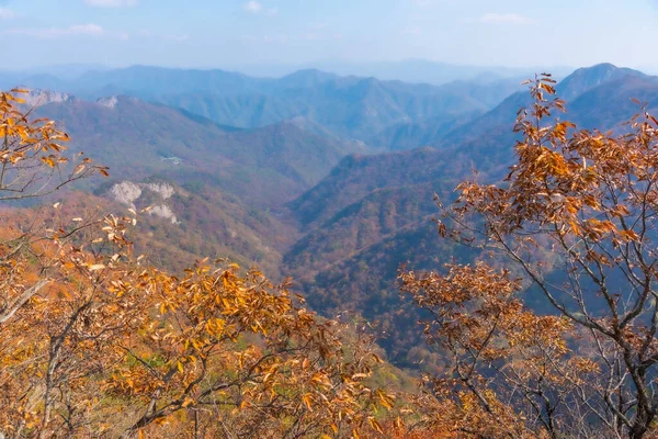 Luftaufnahme Des Naejangsan Nationalparks Der Republik Korea — Stockfoto