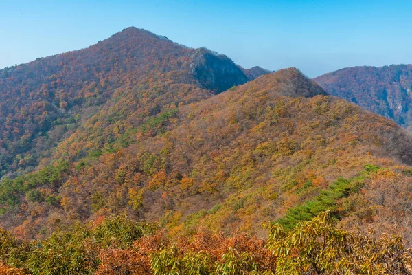 Gipfel Des Naejangsan Nationalparks Der Republik Korea — Stockfoto