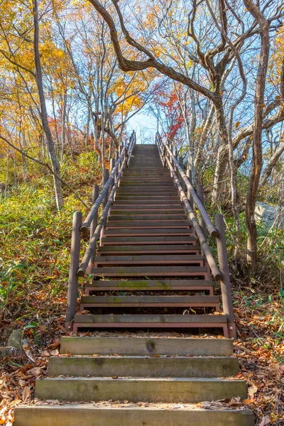 Escalera Parque Nacional Naejangsan República Corea —  Fotos de Stock