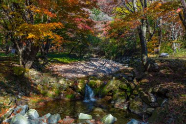 Kore Cumhuriyeti 'ndeki Naejangsan Milli Parkı' nda bir dere.