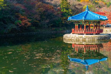 Kore 'de Naejangsan Milli Parkı' nda bulunan mavi pavyon.