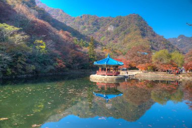 Kore 'de Naejangsan Milli Parkı' nda bulunan mavi pavyon.