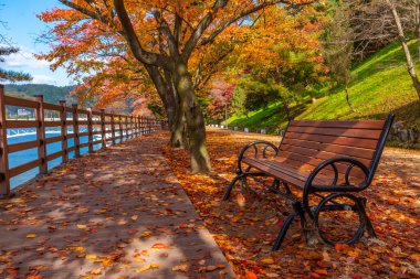 Andong, Kore 'deki Bench ve Woryeonggyo Köprüsü.
