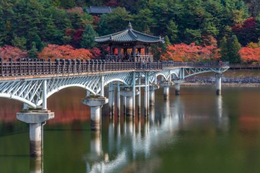 Andong, Kore 'deki Woryeonggyo Köprüsü