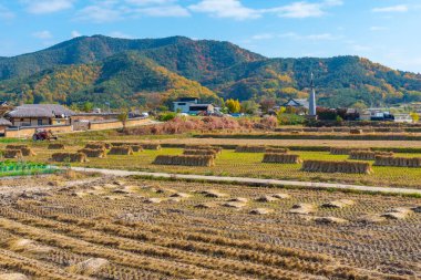 Kore Cumhuriyeti 'nin Hahoe köyündeki tipik çiftlik evleri.