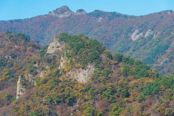 한국에 공원의 꼭대기 — 스톡 사진