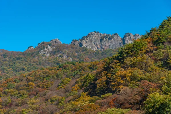 Naejangsan Nemzeti Park Csúcsai Koreai Köztársaságban — Stock Fotó