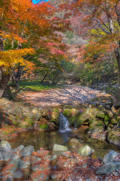Creek Στο Εθνικό Πάρκο Naejangsan Στη Δημοκρατία Της Κορέας — Φωτογραφία Αρχείου