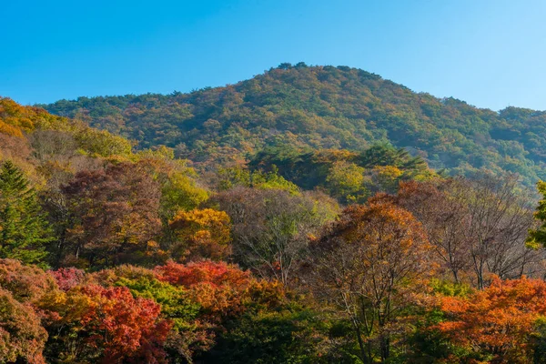 Picos Parque Nacional Naejangsan República Coreia — Fotografia de Stock