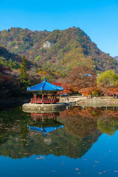 Modrý Pavilon Rybníku Národním Parku Naejangsan Korejské Republice — Stock fotografie
