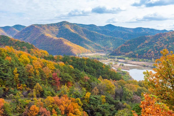 Colorful Treas Autumn Foliage Season Hahoe Folk Village Republic Korea — Stock Photo, Image