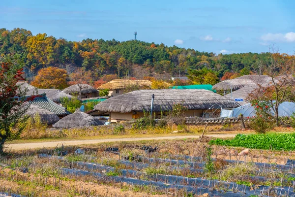 Casas Fazenda Típicas Hahoe Aldeia Popular República Coreia — Fotografia de Stock