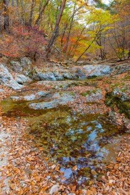 Kore Cumhuriyeti 'ndeki Juwangsan Milli Parkı' nda.