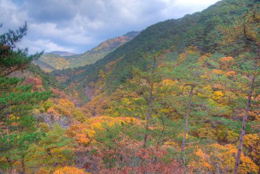 Kore Cumhuriyeti 'ndeki Juwangsan Milli Parkı' nın zirveleri.