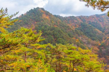 Kore Cumhuriyeti 'ndeki Juwangsan Milli Parkı' nın zirveleri.