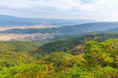 Kore Cumhuriyeti 'nin Namsan dağından Gyeongsangbukdo ili kırsal manzara manzarası