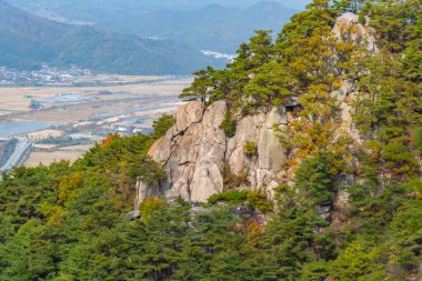Kore Cumhuriyeti 'ndeki Namsan Milli Parkı' nda Buda oymacılığı.