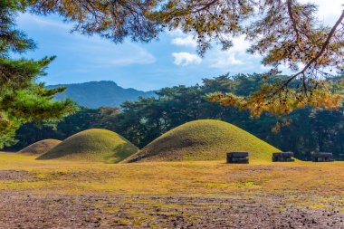 Samneung kraliyet mezarları Kore 'deki Namsan Dağı' nda.