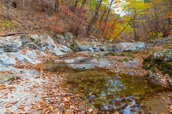 Creek Juwangsan National Park Republic Korea — Stock Photo, Image