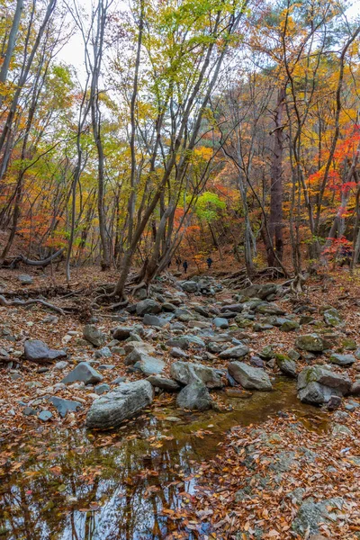 大韓民国中文山国立公園のクリーク — ストック写真