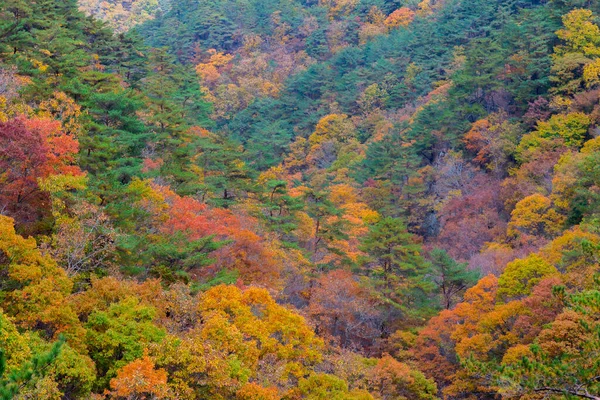 Vrcholy Národního Parku Juwangsan Korejské Republice — Stock fotografie