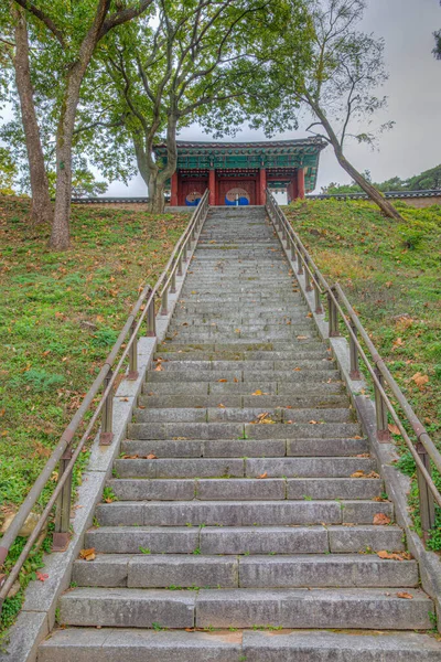 Grobowce Pochówkowe Seobongchong Centrum Gyeongju Republika Korei — Zdjęcie stockowe