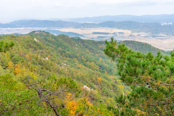 공중에서 한국의 — 스톡 사진