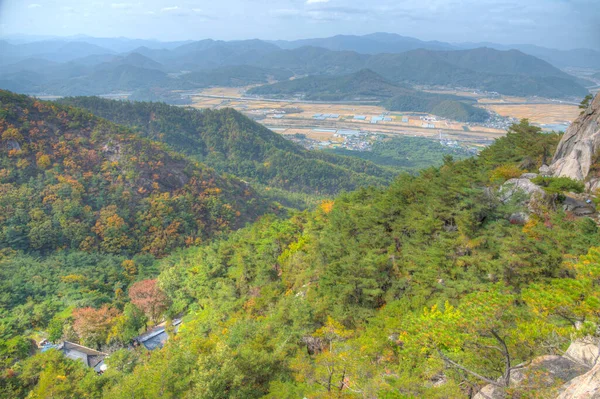 Widok Powietrza Park Narodowy Namsan Republice Korei — Zdjęcie stockowe