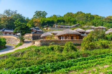 Kore Cumhuriyeti 'nin Yandong köyündeki tipik çiftlik evleri.