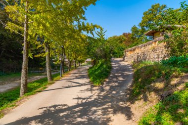 Kore Cumhuriyeti 'nin Yandong köyündeki tipik çiftlik evleri.