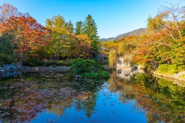 Bulguksa Tapınağı 'ndaki gölet, Kore Cumhuriyeti.