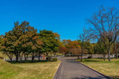 Kore Cumhuriyeti 'nin Gyeongju şehrinde birkaç kraliyet mezarı bulunan Tumuli Parkı.