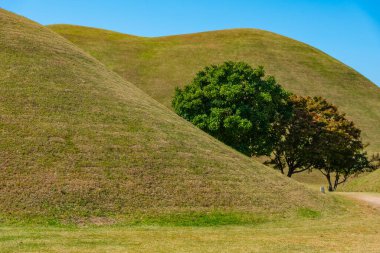 Kore Cumhuriyeti 'nin Gyeongju şehrinde birkaç kraliyet mezarı bulunan Tumuli Parkı.