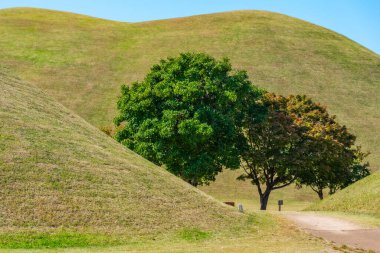 Kore Cumhuriyeti 'nin Gyeongju şehrinde birkaç kraliyet mezarı bulunan Tumuli Parkı.