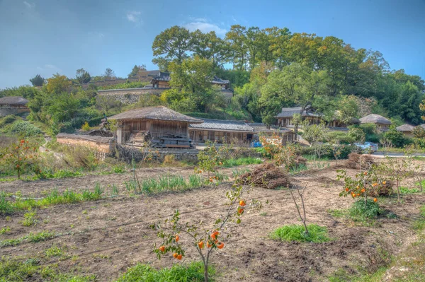 Kore Cumhuriyeti Nin Yandong Köyündeki Tipik Çiftlik Evleri — Stok fotoğraf