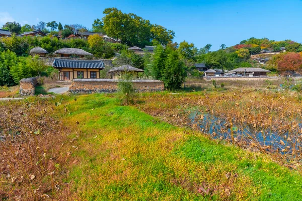 Casas Tradicionais Atrás Lago Lótus Aldeia Popular Yangdong República Coreia — Fotografia de Stock