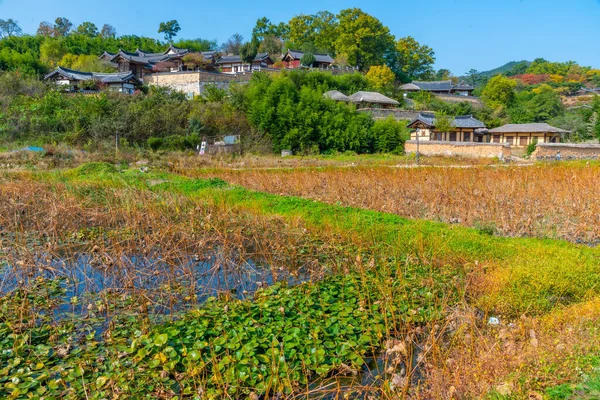 Casas Tradicionais Atrás Lago Lótus Aldeia Popular Yangdong República Coreia — Fotografia de Stock