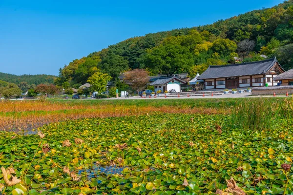大韓民国の良洞民俗村にある蓮池の背後にある伝統家屋 — ストック写真