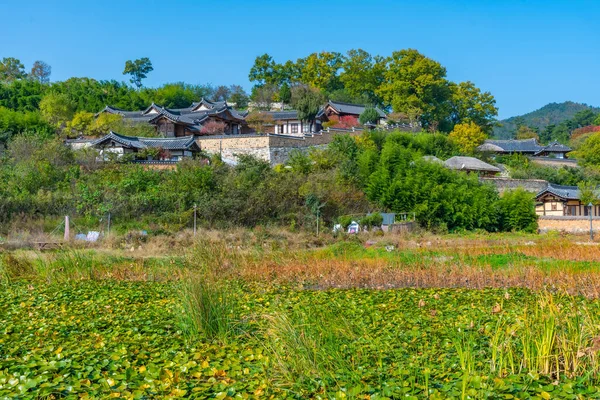 Casas Tradicionais Atrás Lago Lótus Aldeia Popular Yangdong República Coreia — Fotografia de Stock