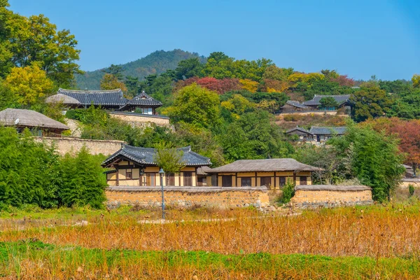 Traditionelle Häuser Hinter Einem Lotusteich Yangdong Volksdorf Der Republik Korea — Stockfoto