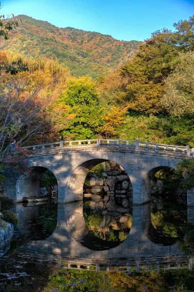 Kamenný Most Chrámu Bulguksa Gyeongju Korejská Republika — Stock fotografie