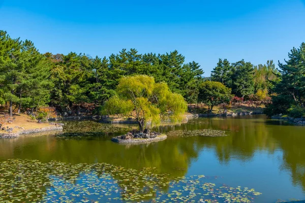 Park Terenie Stawu Anapji Gyeongju Republika Korei — Zdjęcie stockowe