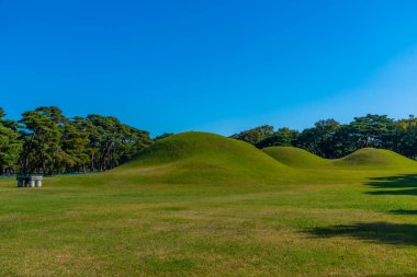 Kore Cumhuriyeti, Gyeongju 'daki Şilla Oreung kraliyet mezarları.