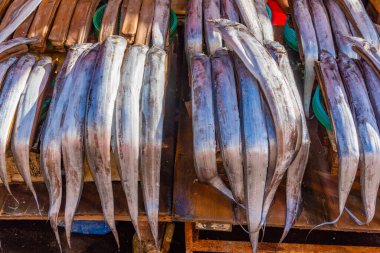 Kore 'nin Busan kentindeki Jagalchi balık pazarında balık satılıyor.