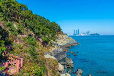 Busan silueti Kore 'nin Igidae yarımadasının arkasında görülüyor.